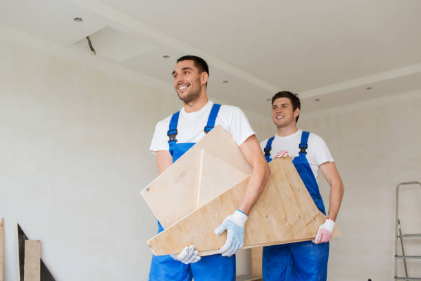 Best Shed Removal  in Elsmere, KY