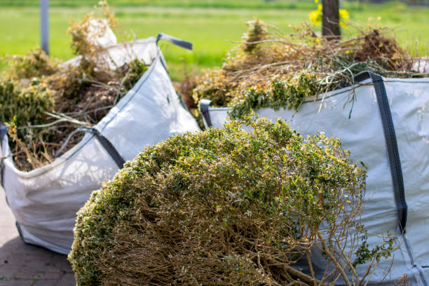 Best Residential Junk Removal  in Elsmere, KY